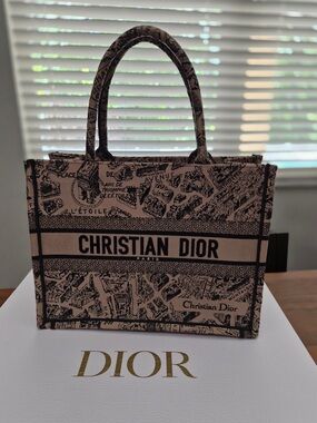 Dior 2023 book tote medium